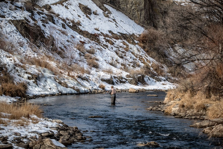 Fly Fishing the Western Slope: Spotlight on Montrose Anglers